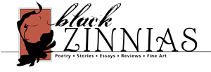 Black Zinnias