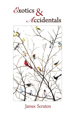 Exotics and Accidentals by James Scruton