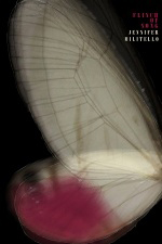 Flinch of Song by Jennifer Militello