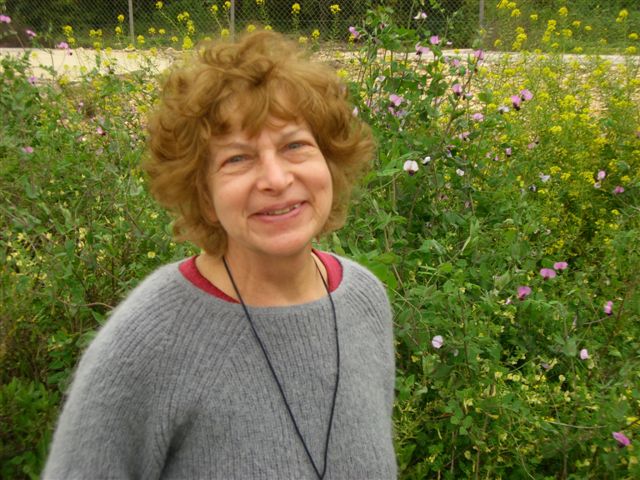 Helen Bar-Lev