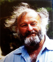 William Pitt Root